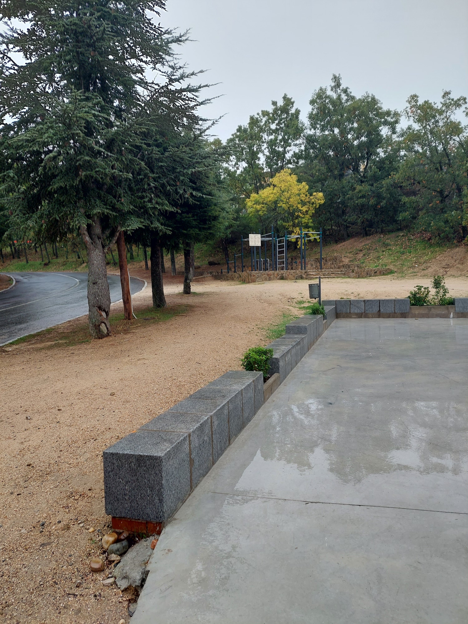 Navacerrada skatepark